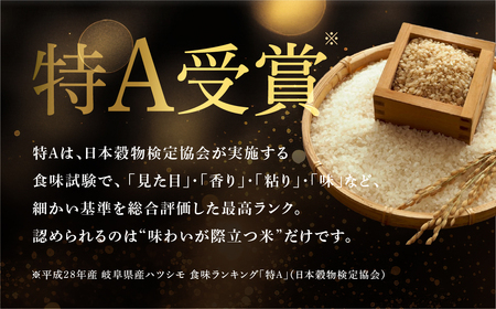 【先行予約！】【3回定期便】令和7年度産 ハツシモ10kg　～水の都大垣の豊富な湧き水で育ったお米 ～
