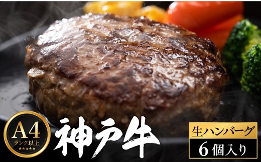 神戸牛 生ハンバーグ （100g×6個）【帝神志方ミート】