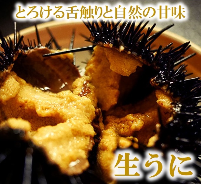 【期間限定】 牛乳瓶入り 生うに 180g×５本【ミョウバン不使用 無添加】 岩手県産 国産 三陸産 うに 塩水 うに瓶 雲丹