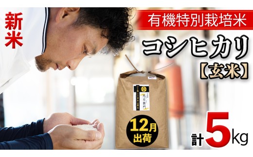 令和8年産・新米 ＜ 12月出荷 ＞ 玄米 5kg 三百年 続く農家 の 有機特別栽培米 コシヒカリ 有機栽培 農創 米 こめ コメ ごはん ご飯 精米 白米 国産 茨城県産 おいしい 新生活 プレゼント 新生活応援 必要なもの 便利 おすすめ 消耗品 一人暮らし 二人暮らし 必要