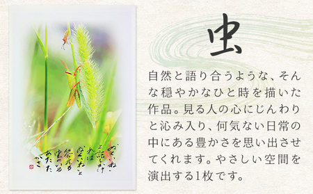 絵 書 書道 アート 季節の絵と書 虫 楠戸宇亭《90日以内に出荷予定(土日祝除く)》岡山県 笠岡市 送料無料 美術 作品 日本画 絵 インテリア