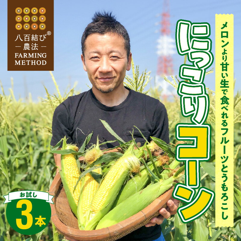 【ふるさと納税】2026年発送 お試し とうもろこし コーン 3本 メロンより甘い 生とうもろこし にっこりコーン 味来 サニーショコラ 武ちゃん農場 お試し 産地直送 朝獲れ 人気 新鮮 愛知県 碧南市 送料無料