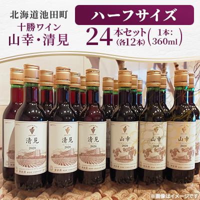 ふるさと納税 池田町 十勝ワイン ハーフサイズ　24本セット