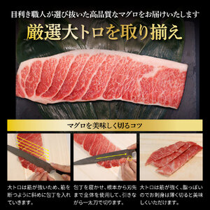 本鮪　大トロ500ｇ、ネギトロ400ｇ（200ｇ×2P）ねぎとろ マグロ まぐろ 本まぐろ 刺身 刺し身 魚 海鮮 冷凍 美味しい おいしい 故郷納税 ふるさとのうぜい 返礼品 高知県 高知