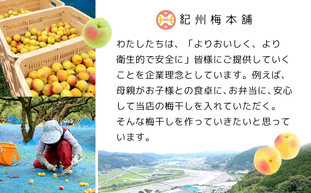 紀州南高梅 塩分約2.7% 大粒 訳ありつぶれ梅 はちみつ梅 400g×2個 800g 減塩梅干し 紀州梅本舗【大粒 つぶれ梅 南高梅 ワケあり 梅干し お漬物 和歌山県 白浜町】