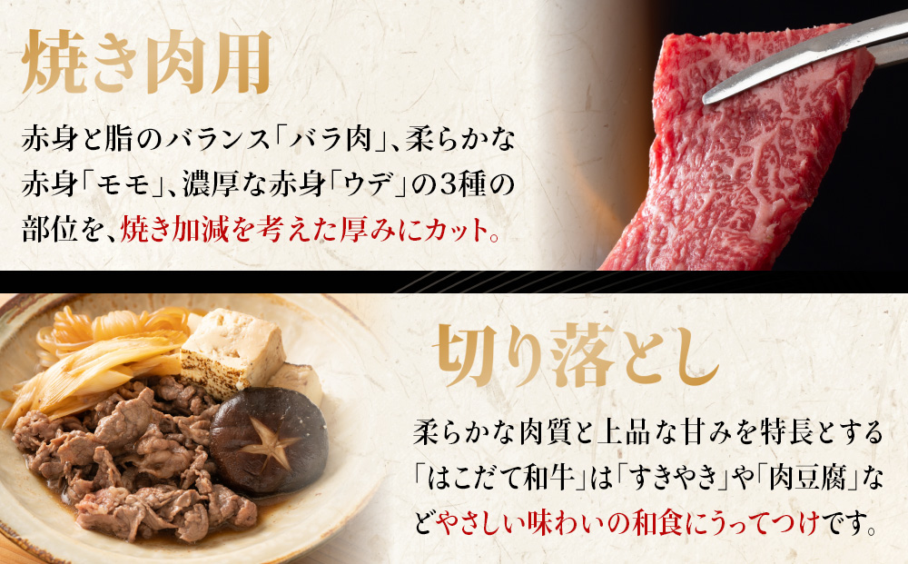 牛肉 切り落とし ＆ 焼肉 はこだて和牛 計730g 和牛 あか牛 北海道 焼き肉 焼肉セット 赤牛 牛 肉 お肉 バラ バーベキュー