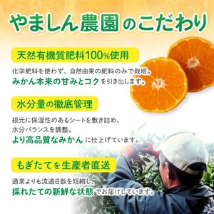 【ご家庭用】こだわりの有田みかん 約2kg＋250g(傷み補償分)  光センサー選別 農家直送 / みかん ミカン 有田みかん 温州みかん 柑橘 フルーツ 果物 くだもの 旬 人気 みかん先行予約 家
