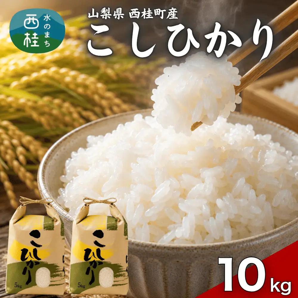 コシヒカリ 5キロ 2袋 / 国産 こしひかり  10キロ 令和7年 新米 米 お米 保存袋 生活必需品 ギフト 贈り物 お歳暮 ふるさと納税 送料無料【n0663-10_gou】