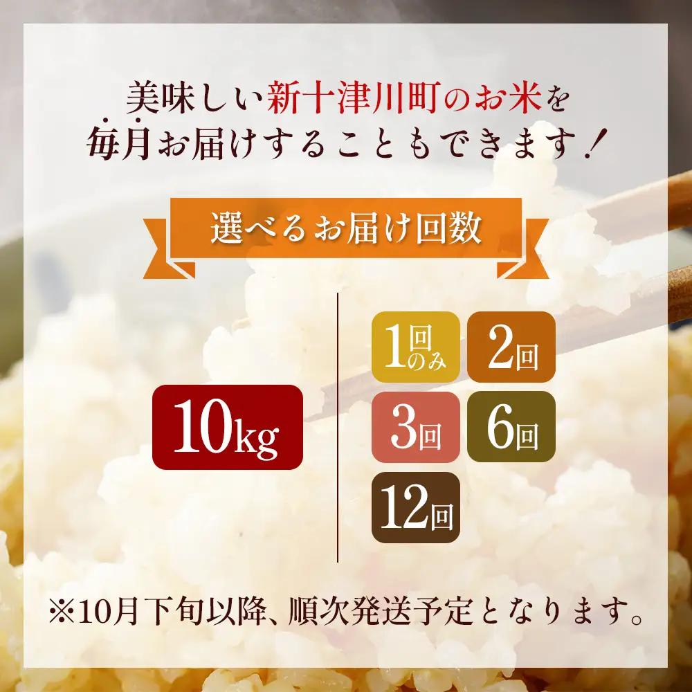 【令和8年度産】 食味ランキング「特A」ななつぼし玄米定期便 (10kg×12回)【11029】