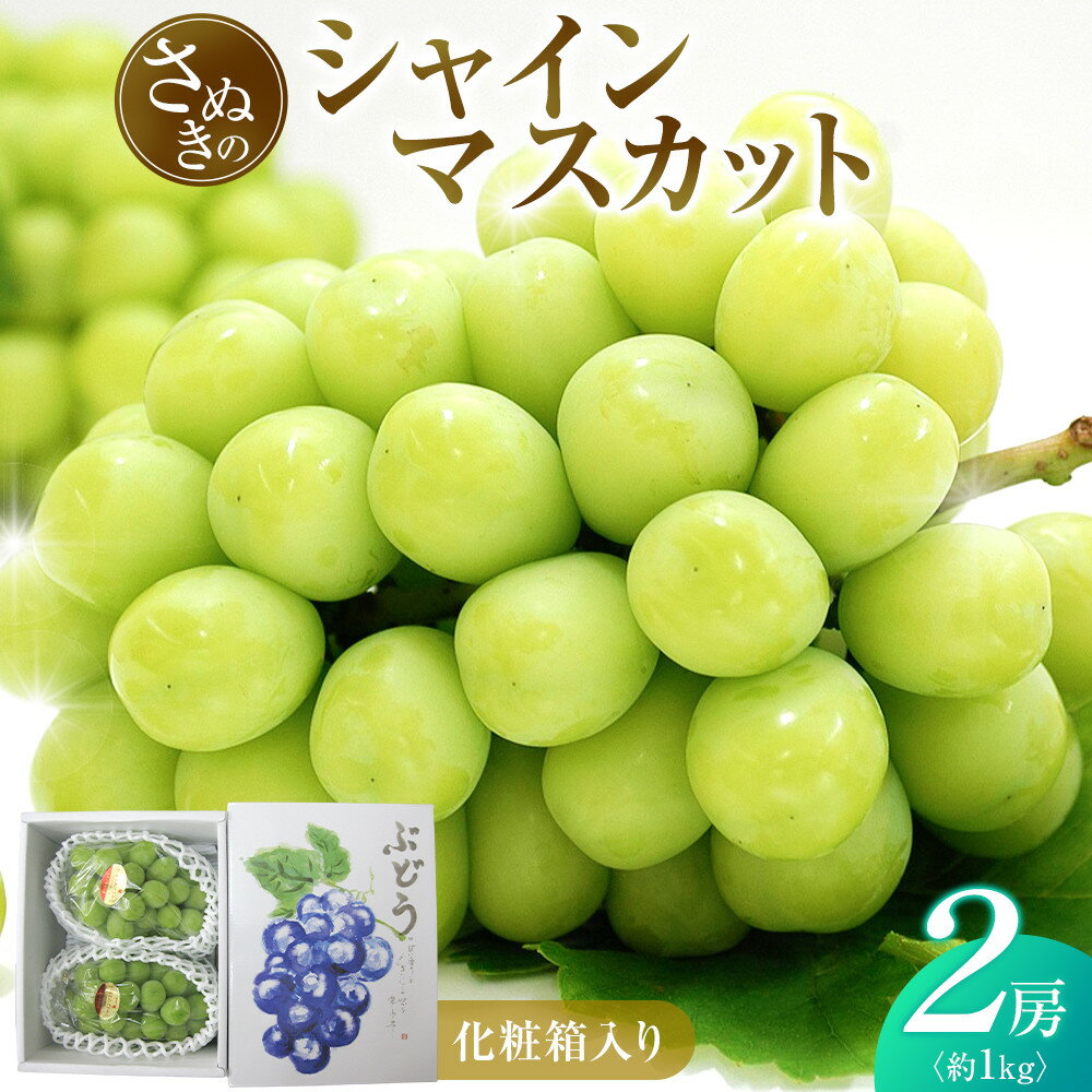 【ふるさと納税】シャインマスカット 約1kg (2房) 化粧箱入り | シャインマスカット マスカット ぶどう 果物 フルーツ スイーツ 特産品 デザート 旬 期間限定