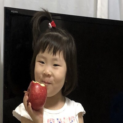 りんごと言えば、本場青森県産サンふじ　贈答用　約5kg　13個前後入り