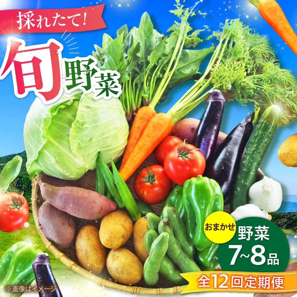 【ふるさと納税】【全12回定期便】【数量限定】旬の 野菜 セット (約3kg/野菜7-8品程度) / 新鮮 詰合せ やさい セット 旬 おまかせ にんじん ごぼう 直売所 やさい 野菜 3kg 3キロ サラダ 熊本県 特産品 菊陽町 定期便【有限会社さんふれあ】[BHAK026]