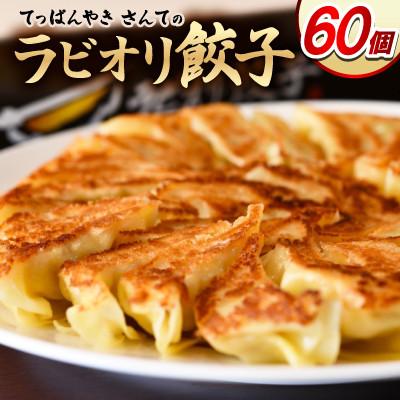 ふるさと納税 香川県 ラビオリ餃子60個