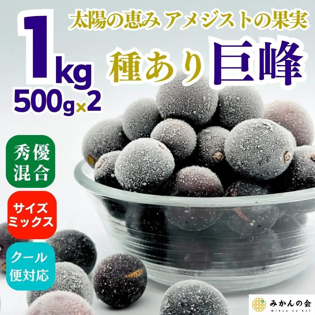 冷凍 種あり 巨峰 約1kg 秀優混合 サイズミックス 和歌山県産 産地直送 ぶどう クール便  【みかんの会】