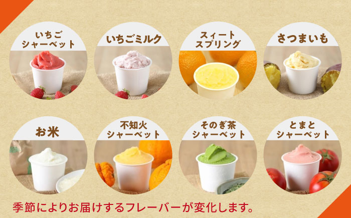 【12回定期便】シュシュのスペシャルジェラート6個セット（定番/季節限定/スペシャル2種） / アイス あいす アイスクリーム あいすくりーむ ジェラート じぇらーと スイーツ すいーつ / 大村市 
