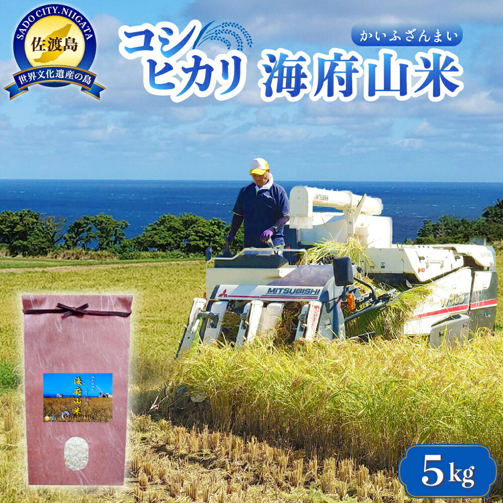 【ふるさと納税】【令和7年産】米 コシヒカリ 海府山米 5kg 佐渡産 特別栽培米 精米 海府屋 こしひかり 白米 雪解け水 小野見 ごはん おにぎり お弁当 新潟県 佐渡市