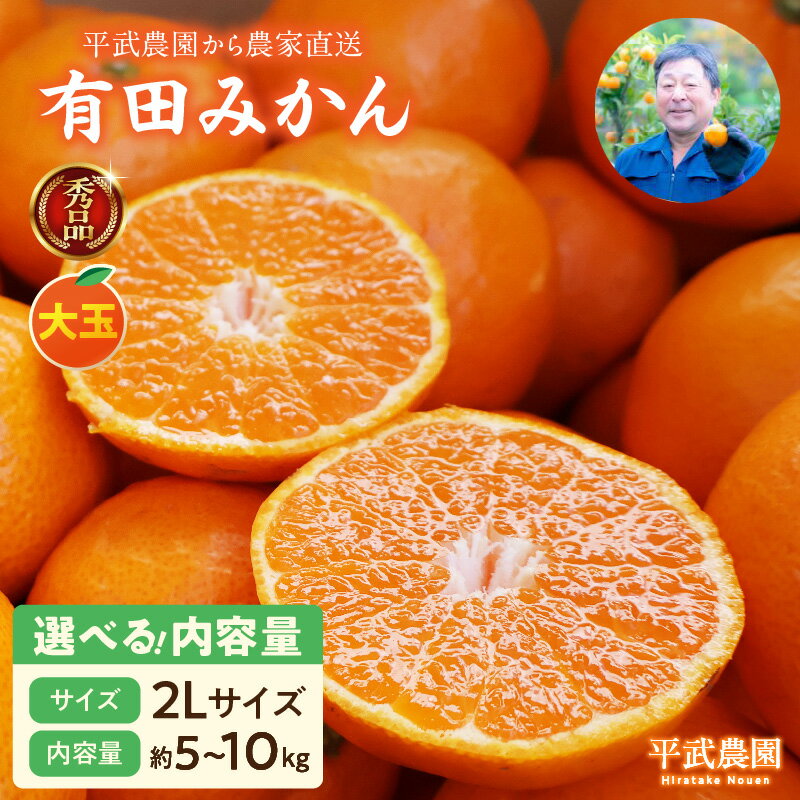【ふるさと納税】【平武農園より農家直送！】 有田みかん 2Lサイズ 秀品 大玉 選べる 内容量 5kg 10kg ミカン 柑橘 フルーツ 温州みかん 濃い 甘さ 酸味 濃厚 農家直送 こだわり 和歌山 有田 田口みかん 田口地区 和歌山県 湯浅町 送料無料