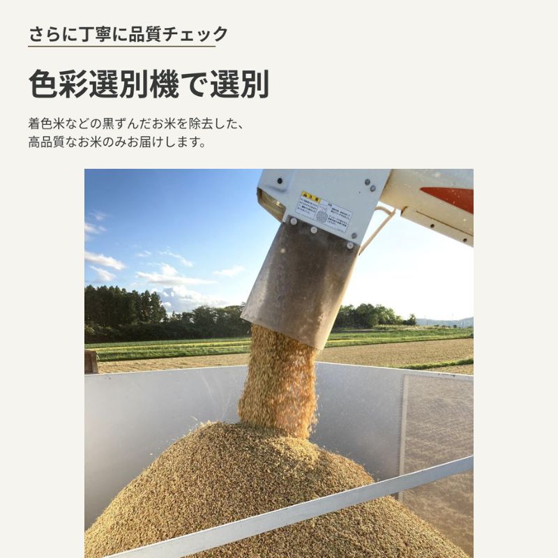 【先行予約・令和8年産】新米 秋田県産あきたこまち 玄米 3