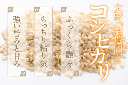 【先行予約】【令和8年産 新米】【3ヶ月定期便】越前大野産 エコファーマー認定農家栽培こしひかり 玄米 10kg × 3回 計30kg【2026年10月より順次発送】