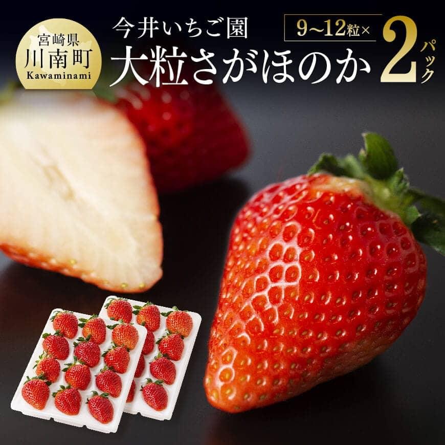 【令和9年発送】大粒さがほのか9~12粒入×2パック　いちご イチゴ 苺　[B04603]