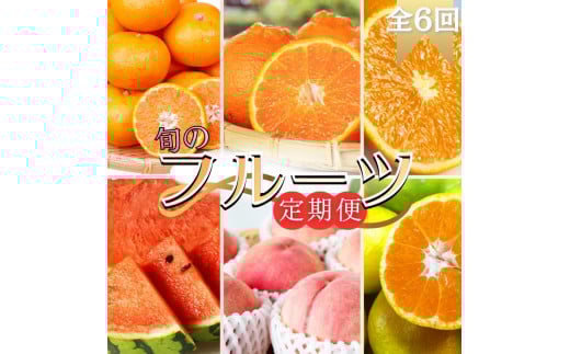 【全6回】旬のフルーツ定期便 【田村みかん 紀州デコ(不知火) 清見オレンジ 小玉スイカ 桃 ゆら早生みかん】 和歌山の旬をお届け / みかん ミカン 温州みかん 有田みかん 不知火 デコポン 桃 もも モモ スイカ すいか 早生 柑橘 フルーツ 果物 くだもの 旬 人気 甘い 定期便【tkb314】
