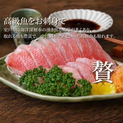 ふるさと納税 室戸市 お刺身セット 2〜3種盛り合わせセット 旬の地魚 魚介類 さしみ |  | 01