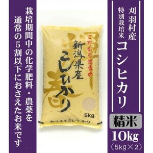 【新潟特別栽培米】【精米】刈羽村産コシヒカリ 10kg(5kg×2袋)【1576343】