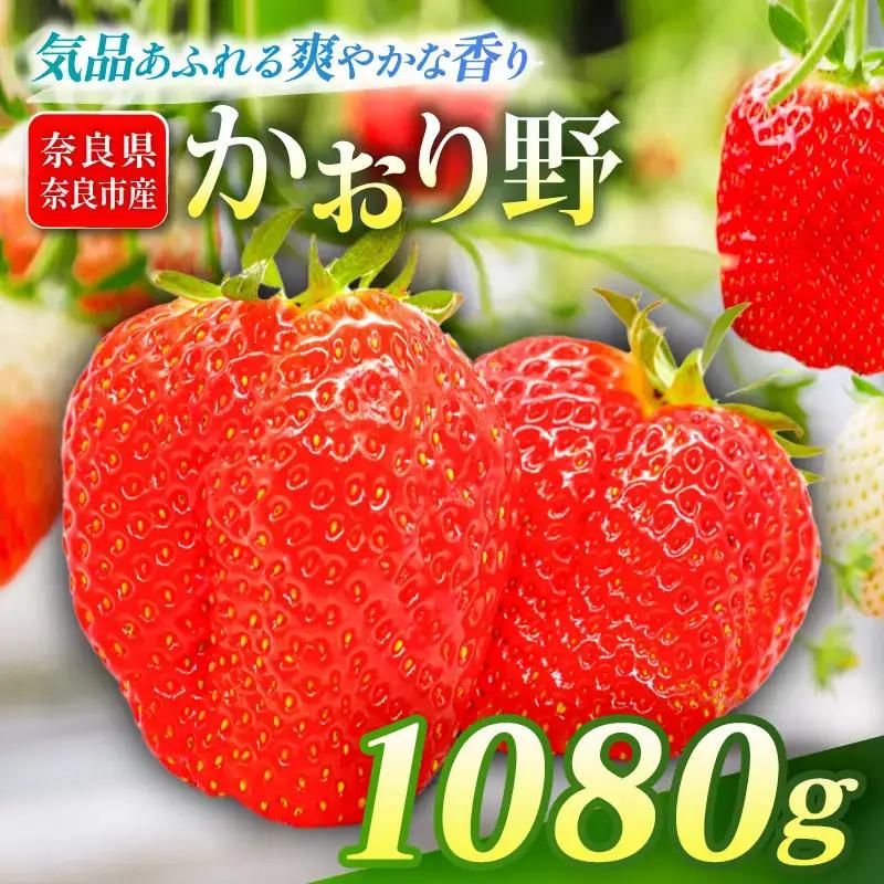 いちご かおり野 約270g×4P【R9年1月～発送】いちご drm006