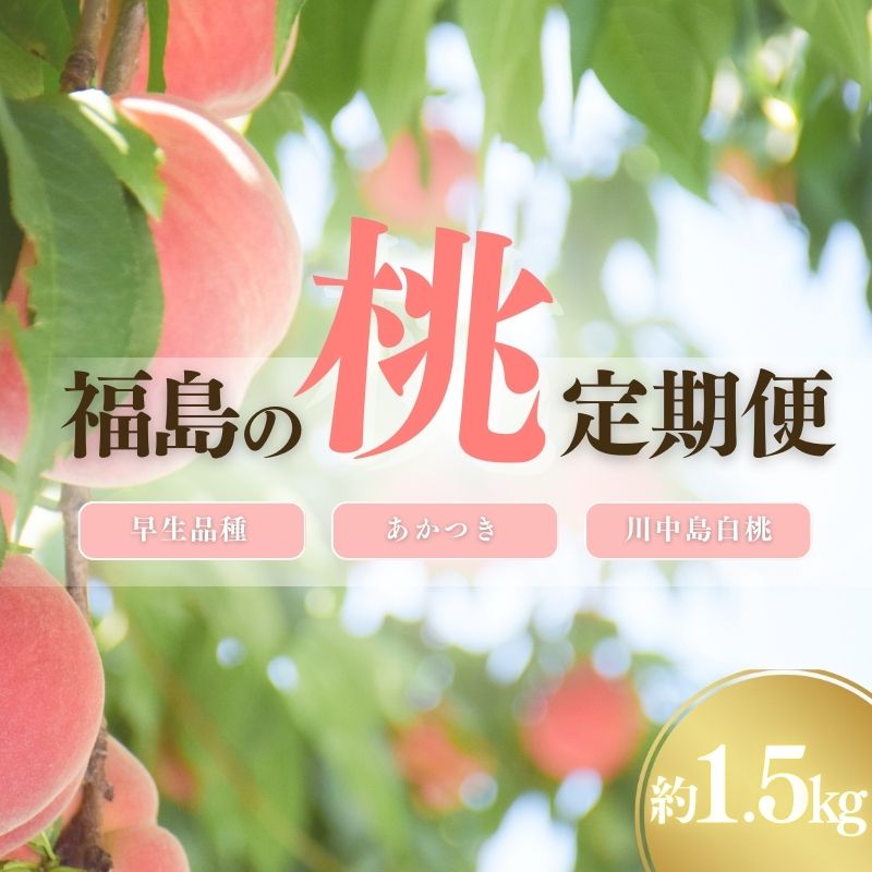 【ふるさと納税】No.2969中野/佐藤果樹園 福島の桃3種定期便 各約1.5kg【2025年発送】