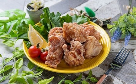中津からあげ骨なしモモ肉・金賞せせり各500g×1中津彩鶏々～イロトリドリ～ 自宅調理用 唐揚げ 揚げるだけ 大分 おかずセット 弁当 簡単調理 お惣菜