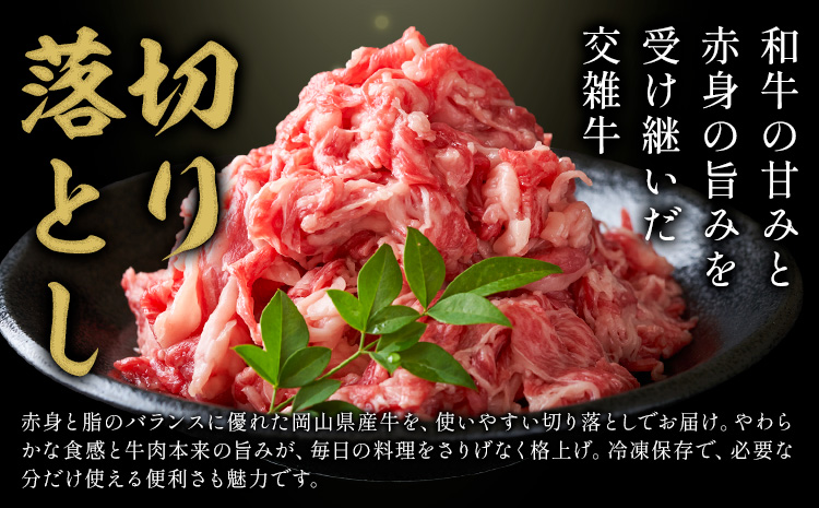 岡山県産牛 切り落とし 交雑牛 1kg お試し 大容量《60日以内に出荷予定(土日祝除く)》 岡山県 笠岡市 肉 送料無料
