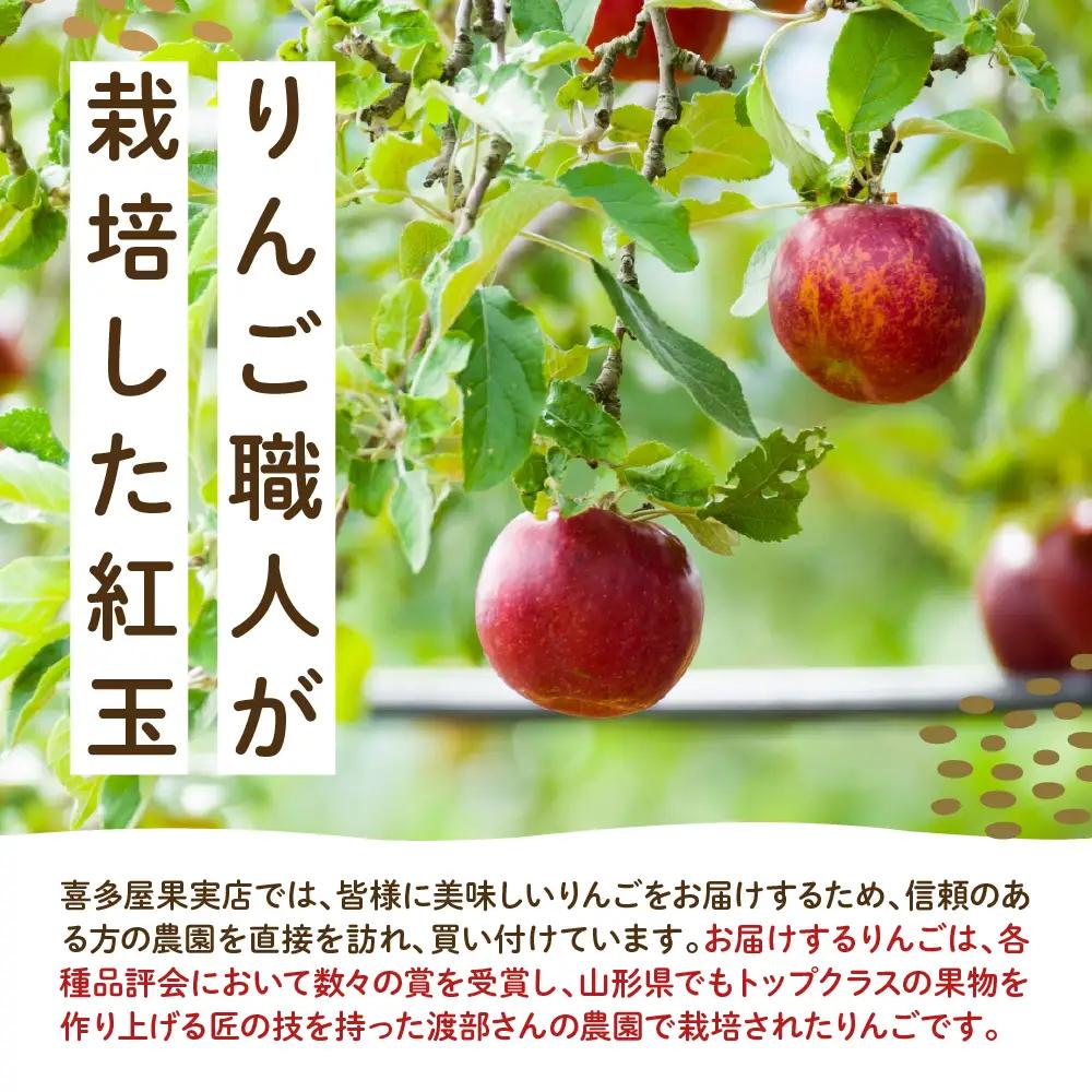 【先行予約】 令和8年産 紅玉 りんご 約2kg 舘山 りんご