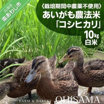 ふるさと納税 南あわじ市 令和6年産　コシヒカリ　10Kg(5kg×2)　白米　栽培期間中農薬不使用　あいがも農法米