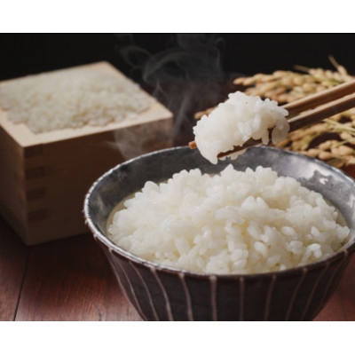 
                  【令和8年産】信州八ヶ岳山麗 長野県産コシヒカリ 精米5kg(5kg×1袋)【1719506】
                