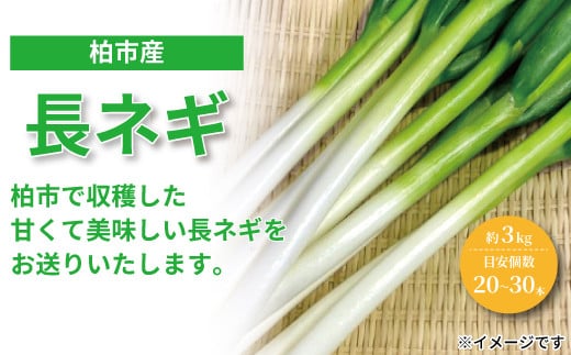
柏産長ネギ　3kg
