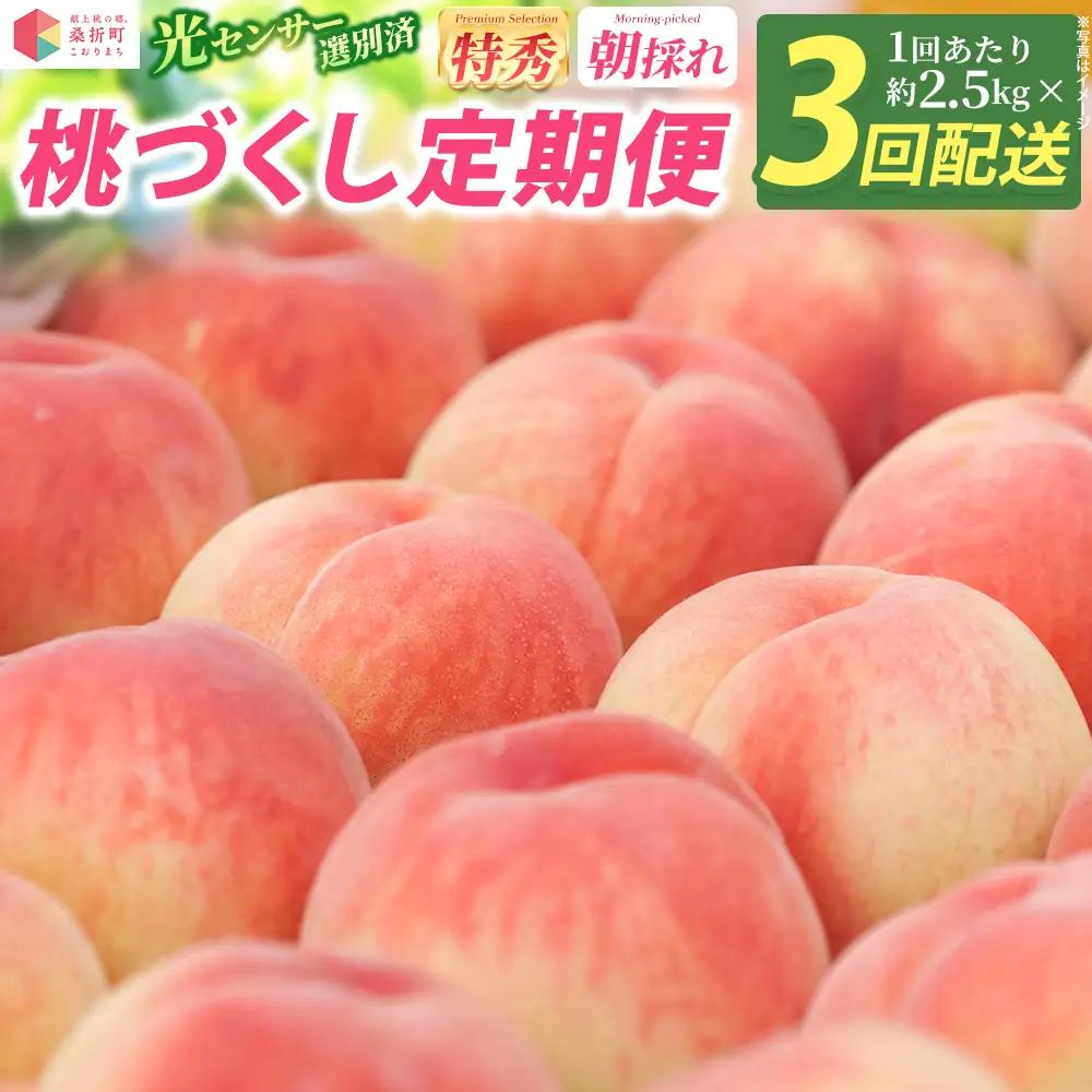 桃づくし定期便3品種【2027年先行予約・献上桃の郷桑折町産もも2.5kg×3回】 ／ もも モモ 果物 桃 定期便 フルーツ定期便 食べ比べ 大容量 旬フルーツ お取り寄せフルーツ 贅沢フルーツ 家庭用 贈答用 夏フルーツ 季節限定 新鮮フルーツ 産地直送 桑折 こおり こおりまち 福島県 特産品 献上桃の郷 【07301-0220】