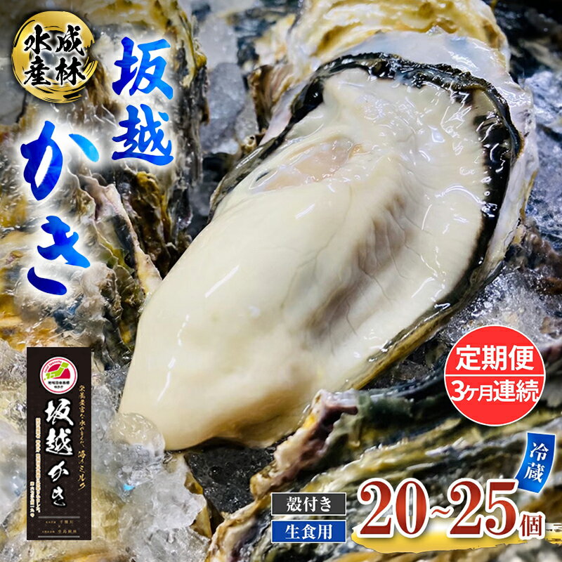 【ふるさと納税】定期便 牡蠣 生食用 坂越かき 殻付き 20～25個《3ヶ月連続お届け》 成林水産 [ 生牡蠣 真牡蠣 かき カキ 冬牡蠣 ]　お届け：2026年1月中旬～2026年4月
