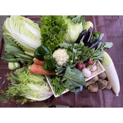ふるさと納税 吉野ヶ里町 よしのがり野菜セット(16品)