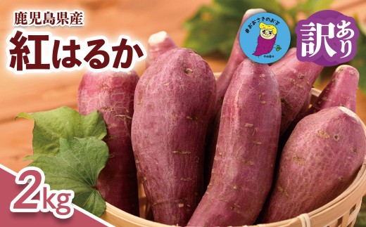 【訳あり】さつまいも 紅はるか 2kg  大崎町