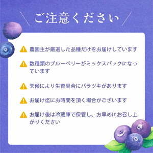 【先行受付予約】知多半島 生ブルーベリー 800g（100g×8パック） 完熟 果物 フルーツ 旬 農園直送 青果物 国産 健康 美容 愛知県 美浜町 ブルーベリーの里みはま 産地直送 ※2026年6