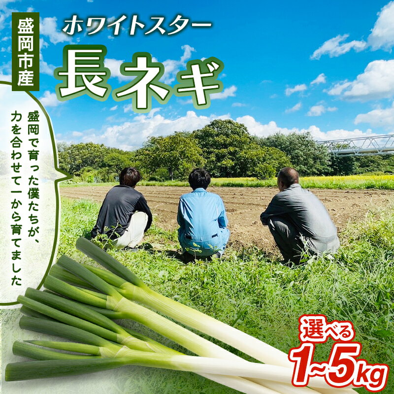 【ふるさと納税】岩手県盛岡市産長ネギ 選べる 1kg/2kg/3kg/4kg/5kg ねぎ 新鮮 野菜 長ネギ 白ネギ 長ねぎ 白ねぎ 葱 国産 甘い 美味しい おいしい 鍋