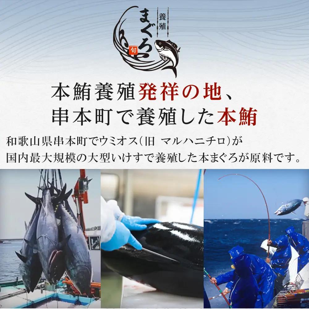 本マグロ（養殖）トロ 赤身 セット 240g まぐろ 鮪　