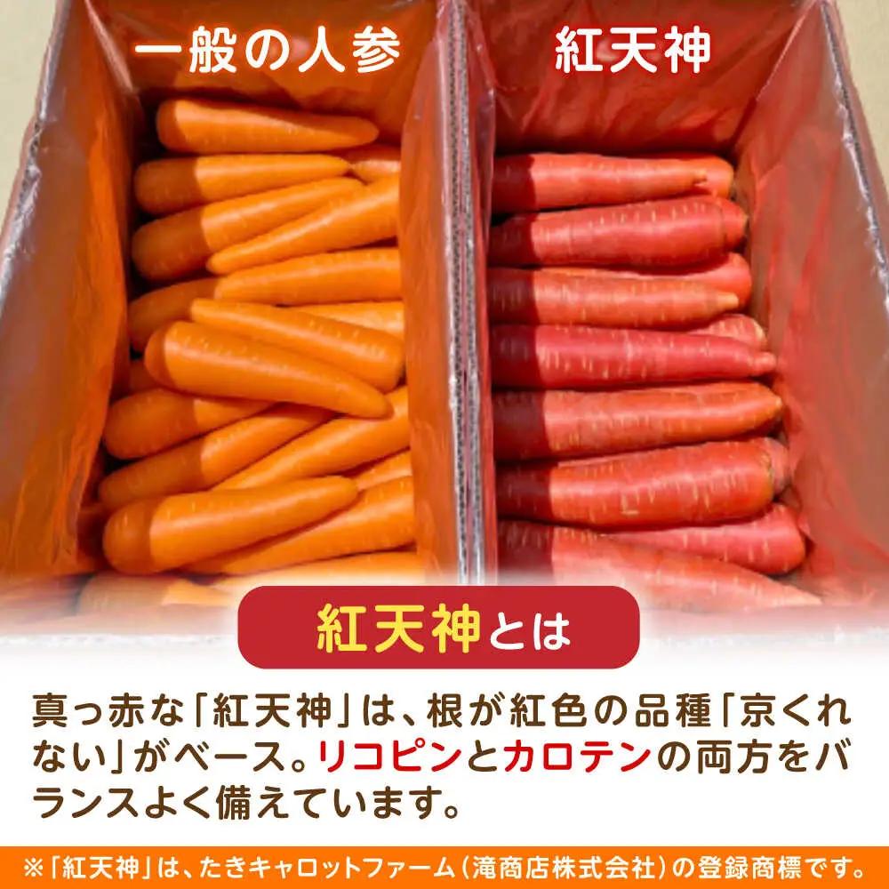 ※【2027年1月上旬より順次発送／先行予約】【訳あり】真っ赤な人参「紅天神」10kg AHCU006 人参