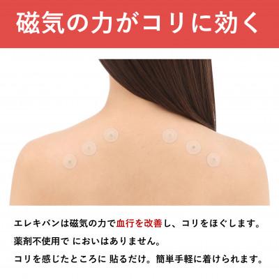 ふるさと納税 天理市 ピップエレキバン　130mT24粒 2個セット |  | 01