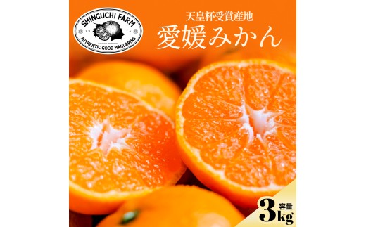 ＜太陽の旨みがギュッと凝縮＞愛媛みかん3kg＜小玉＞農家直送 愛媛県川上産＜C70-73＞【1620185】 YWTK072