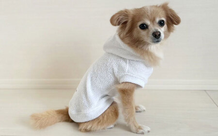 タオル地パーカー ホワイト （ワンちゃん用）（SS/S/MM/Mサイズ） / ドッグウェア ペット用品 犬用 服 お揃い タオル地 パイル / 佐賀県 / Canis Lupus[41AAAN009]
