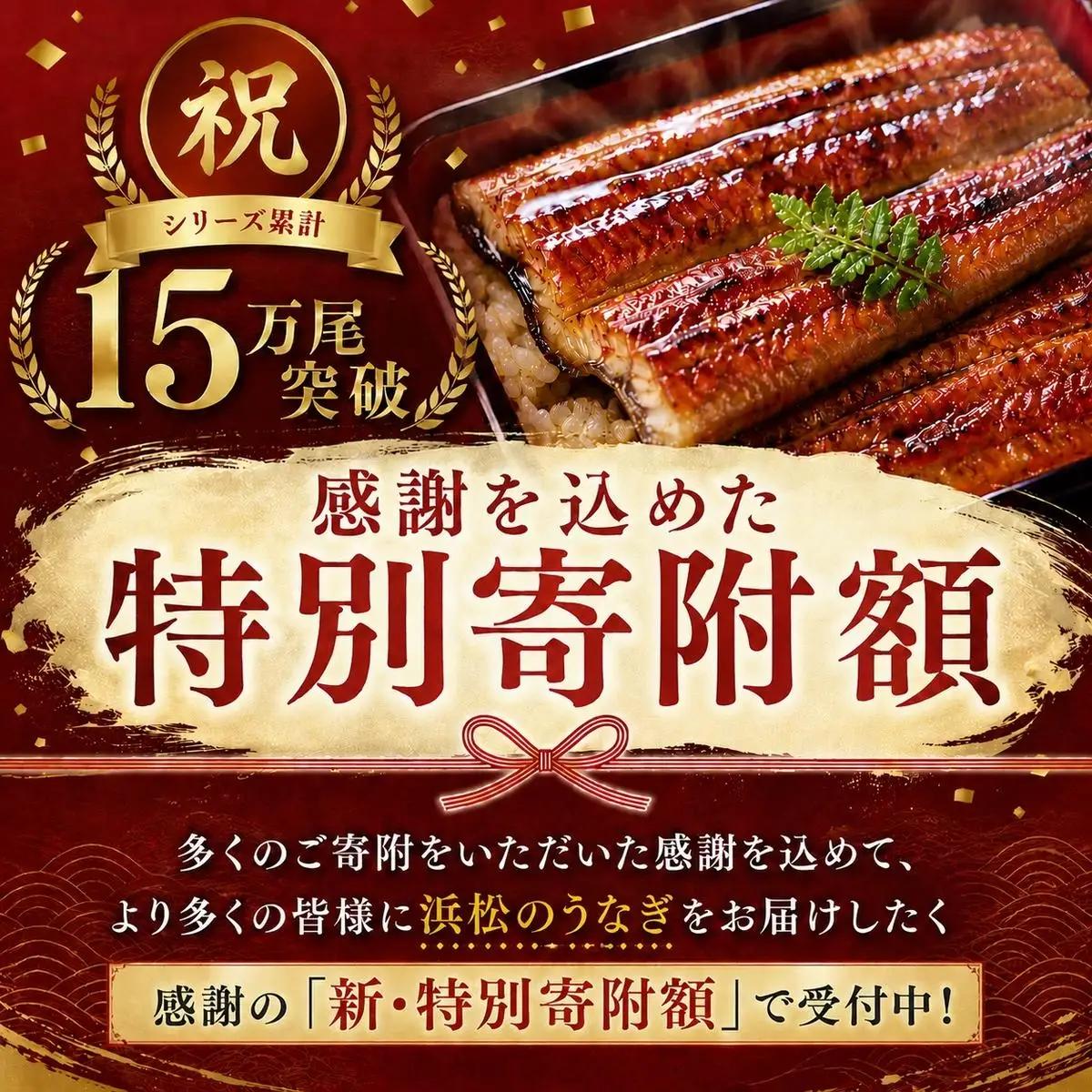 うなぎ 蒲焼き 2尾 200g以上 浜名湖産 国産 うなぎ
