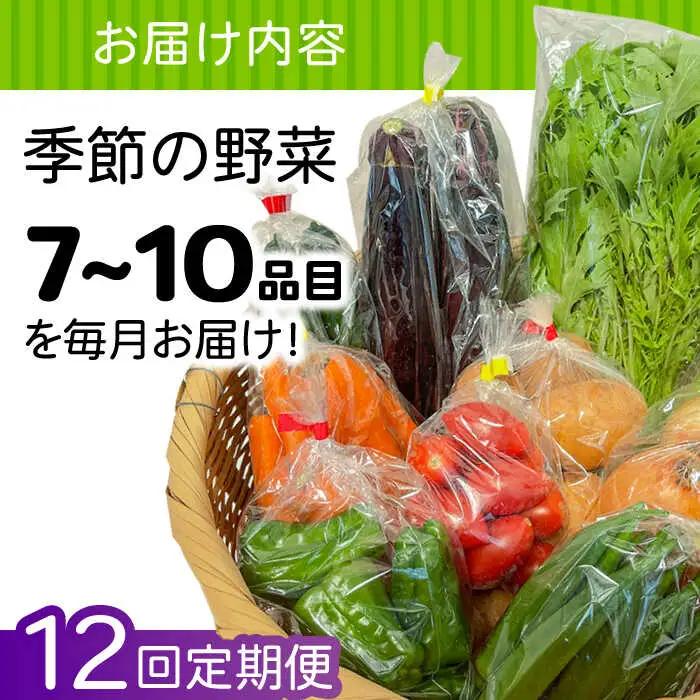【12回定期便】野菜定期便 7?10品目 / ながさき南部 [SBW005] 