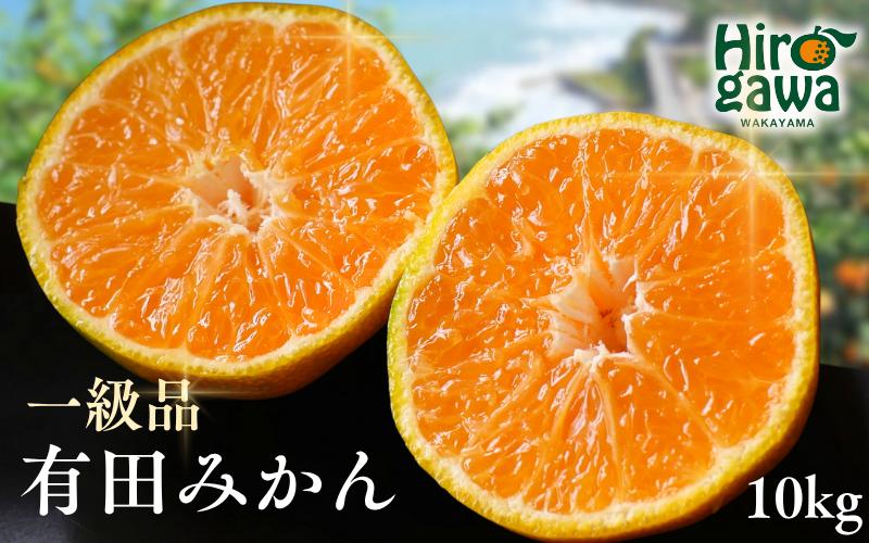 
            有田みかん 10kg / 和歌山 有田 広川 みかん ミカン 柑橘 果物 くだもの ギフト フルーツ 果実 ※1月上旬～2月下旬頃に順次発送予定【hkt004-p-10】
          