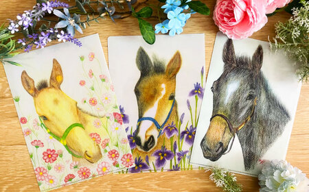 馬のまち栗東 馬と花のステーショナリーセット / 競馬 馬 競走馬 雑貨 クリアファイル メモ 文房具 ポストカード 栗東市 / nashira (nashira picture of horse) 